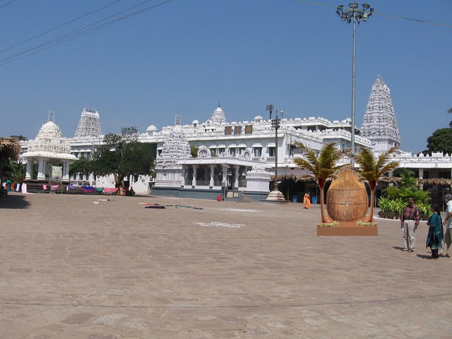 coconut _with temple_2